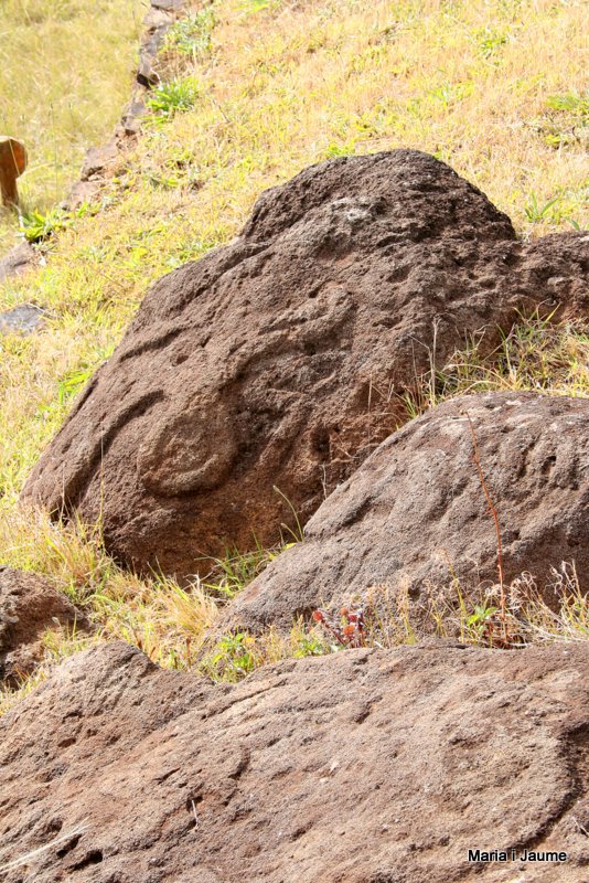 Petroglifs a Orongo